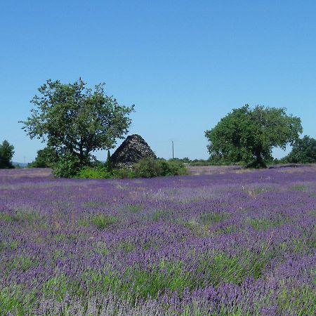 La Mordoree La Motte-d'Aigues Εξωτερικό φωτογραφία