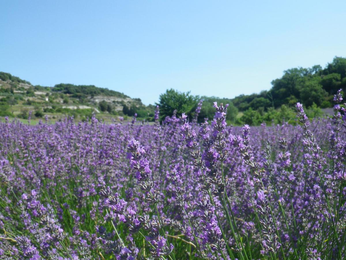La Mordoree La Motte-d'Aigues Εξωτερικό φωτογραφία