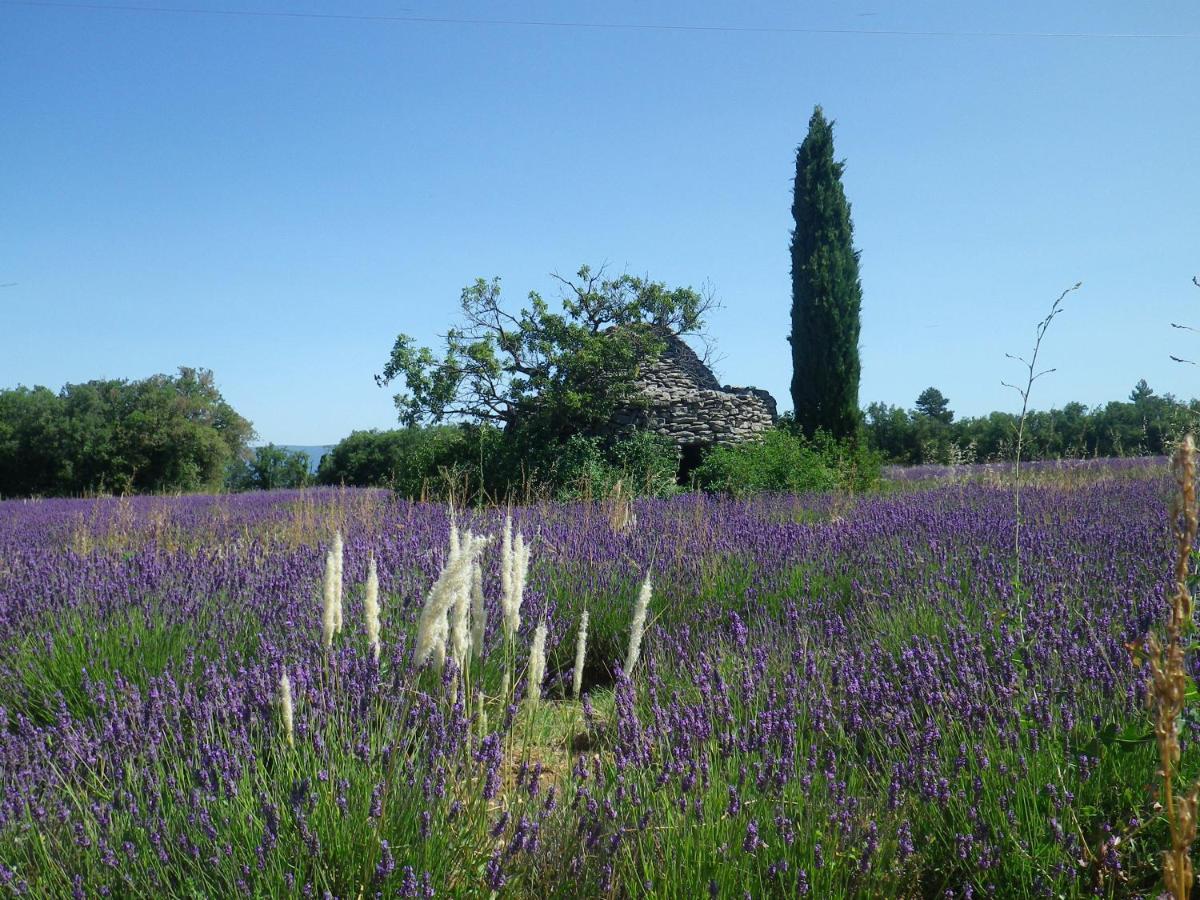 La Mordoree La Motte-d'Aigues Εξωτερικό φωτογραφία