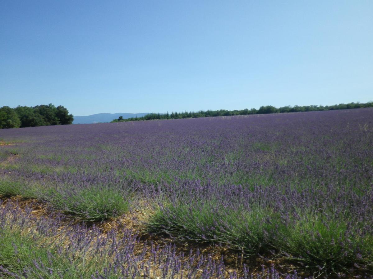 La Mordoree La Motte-d'Aigues Εξωτερικό φωτογραφία
