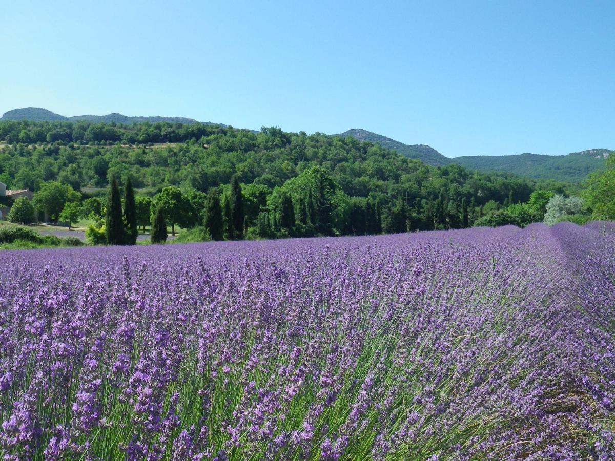 La Mordoree La Motte-d'Aigues Εξωτερικό φωτογραφία