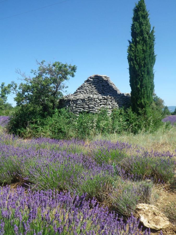 La Mordoree La Motte-d'Aigues Εξωτερικό φωτογραφία