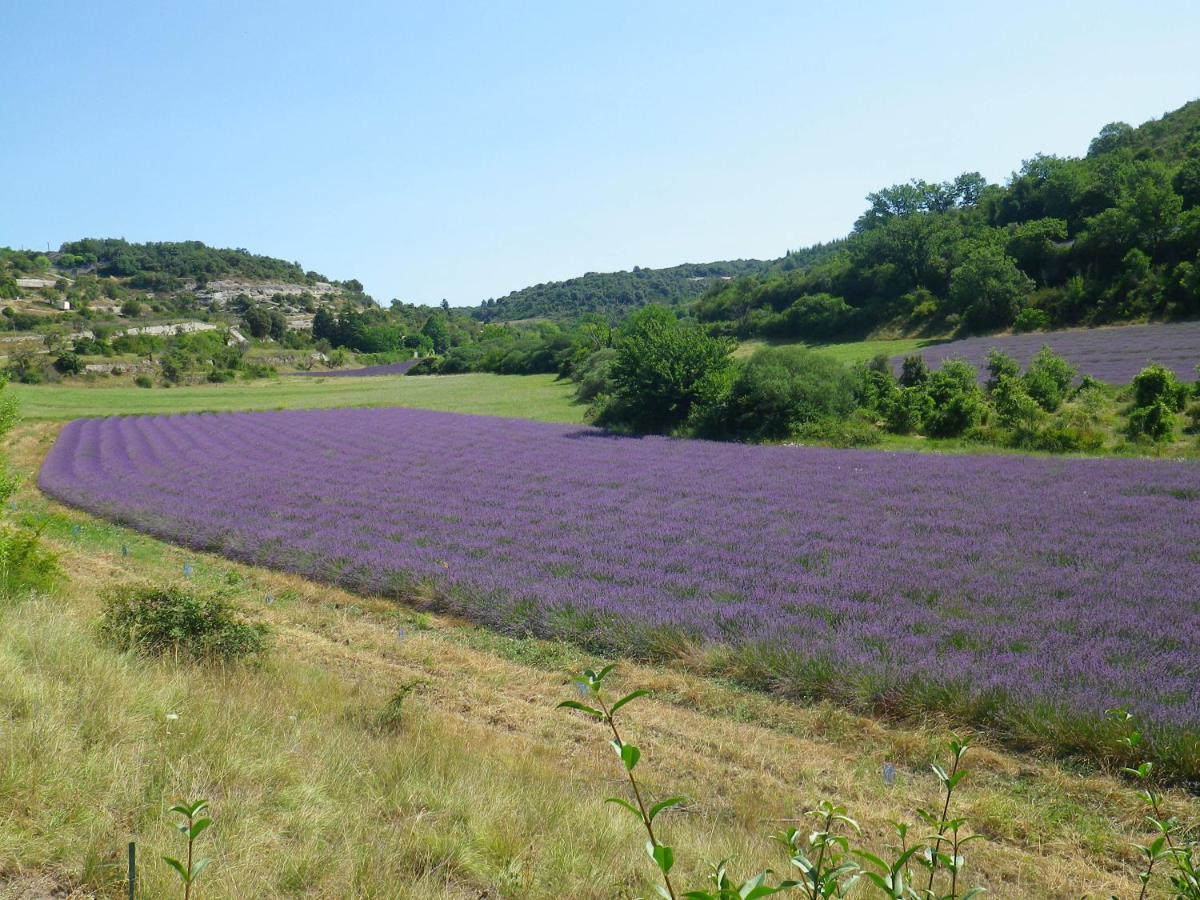 La Mordoree La Motte-d'Aigues Εξωτερικό φωτογραφία