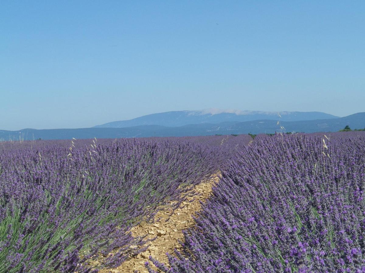 La Mordoree La Motte-d'Aigues Εξωτερικό φωτογραφία